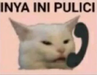 😠 emoji abila such a spoiled kitty 🥺 Telegram sticker 12 of 25