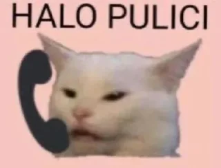 😠 emoji abila such a spoiled kitty 🥺 Telegram sticker 11 of 25