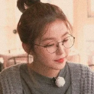 🦩 emoji IRENE Telegram sticker 9 of 13