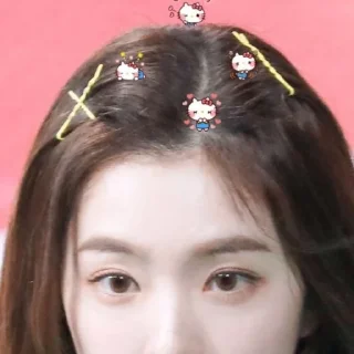 🦩 emoji IRENE Telegram sticker 7 of 13