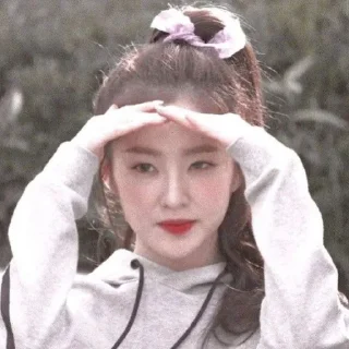 🦩 emoji IRENE Telegram sticker 10 of 13