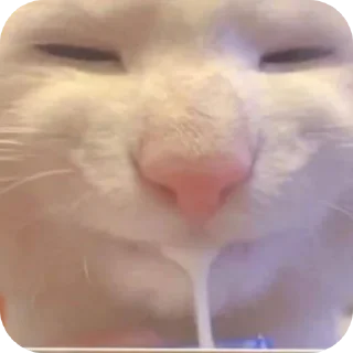 😋 emoji udin si tampan yang turun dari surga @Par4siteve Telegram sticker 19 of 38