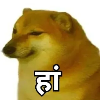 🙂 emoji 𝗗𝗮𝗶𝗹𝘆 𝘂𝘀𝗲 🍁 @indianstickermeme — @stckrRobot Telegram sticker 12 of 59