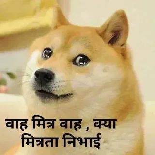 🙂 emoji 𝗗𝗮𝗶𝗹𝘆 𝘂𝘀𝗲 🍁 @indianstickermeme — @stckrRobot Telegram sticker 11 of 59