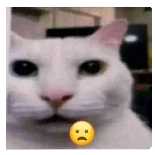 😧 emoji Punya anon!! Telegram sticker 13 of 103