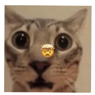 🤯 emoji Punya anon!! Telegram sticker 16 of 103