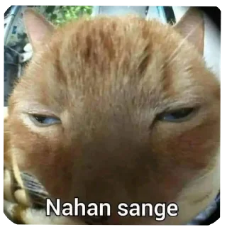 🥵 emoji Punya anon!! Telegram sticker 22 of 103