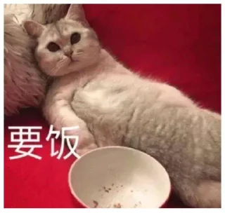🐱 emoji 加油打工人 Telegram sticker 23 of 69
