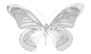 🤍 emoji 𓆩 ֢ ᨦ 𝑒𝑛𝑑𝑙𝑒𝑠𝑠𝑙𝑦𝑝𝑎𝑖𝑛𝒻𝑢𝑙 ᨩ ֢ 𓆪
@endlesslypainful Telegram sticker 22 of 96
