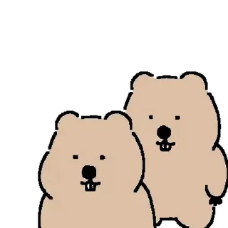 🦫 emoji 웜뱃인데요 @moe_sticker_bot Telegram sticker 8 of 24