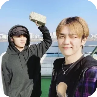 🧱 emoji nct Telegram sticker 6 of 120