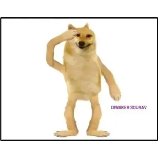 👋 emoji Cheems doge 🐶🐕 @r_squared_rishabh — @stckrRobot Telegram sticker 11 of 120