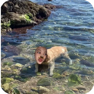 🏖 emoji COMEDY TELEGRAM Telegram sticker 8 of 94