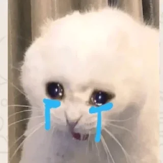 😭 emoji @Chat_Universe_lN — @stckrRobot Telegram sticker 8 of 120