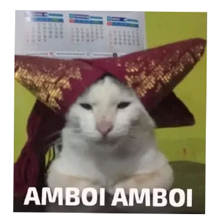 🐱 emoji punya orang ganteng Telegram sticker 13 of 86