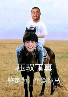 🏇 emoji 义眼丁真 Telegram sticker 23 of 46