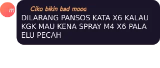 Sticker from PUNYA C-K IS LAMVASE