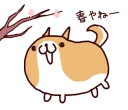 🐶 emoji Lazy Shiba Telegram sticker 21 of 120