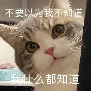 🫣 emoji 福利精选@videosharesex Telegram sticker 21 of 30
