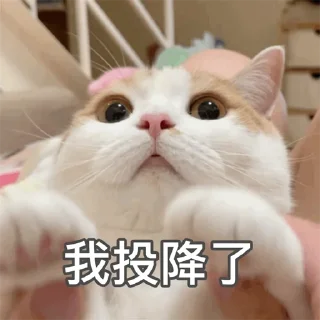 😮 emoji 福利精选@videosharesex Telegram sticker 19 of 30