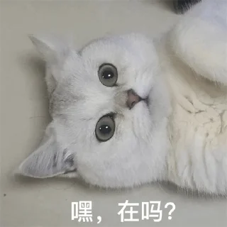 ☺️ emoji 福利精选@videosharesex Telegram sticker 11 of 30