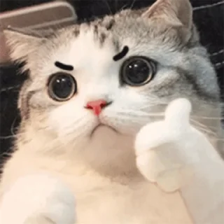 🤗 emoji 福利精选@videosharesex Telegram sticker 23 of 30
