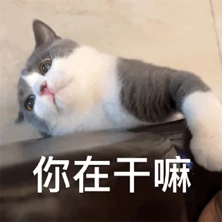 🫣 emoji 福利精选@videosharesex Telegram sticker 7 of 30
