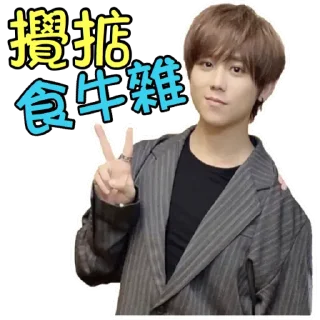 ✅ emoji 什麼2 Telegram sticker 4 of 118