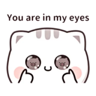 😛 emoji 貓小醬 Cutie chan four [ENG] (FULL) @WSZB_Stickers Telegram sticker 6 of 24