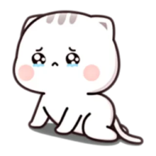 😢 emoji 貓小醬 Cutie chan four [ENG] (FULL) @WSZB_Stickers Telegram sticker 11 of 24