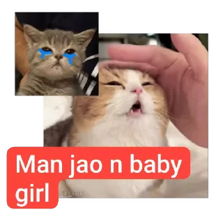👍 emoji Pranav Telegram sticker 3 of 14