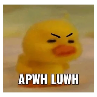 😀 emoji Meme Binatang Telegram sticker 6 of 15
