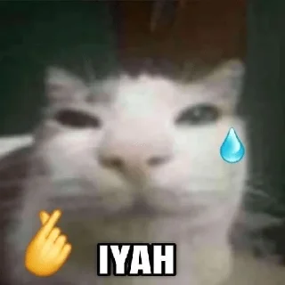 😀 emoji Meme Binatang Telegram sticker 4 of 15