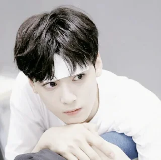 Sticker from 𖠵eunwoo' @cicha4xr