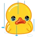 😭 emoji Psyduck Telegram sticker 10 of 120