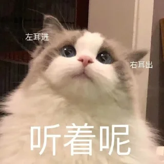 🐱 emoji 猫猫 更多表情👉 @emo315 Telegram sticker 22 of 91