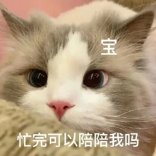 🐱 emoji 猫猫 更多表情👉 @emo315 Telegram sticker 19 of 91