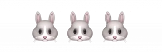 🐰 emoji ˘ `៸៸꒱ഒ ⊹ ˚ @Prentals ₊  ⑅  . Telegram sticker 8 of 15