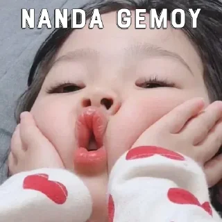 Sticker from Nanda anjing