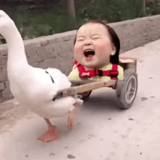 😂 emoji 妮妮的温温 @nicole591 Telegram sticker 20 of 50