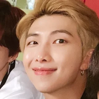😀 emoji Namjoon Telegram sticker 8 of 24