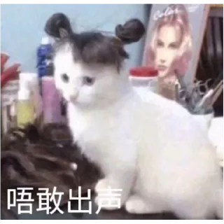 Sticker from 伯乐俱乐部