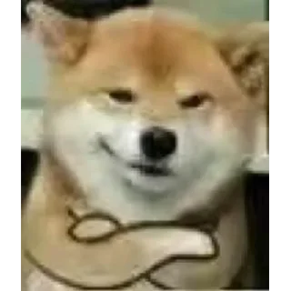 😏 emoji 伯乐俱乐部 Telegram sticker 7 of 81