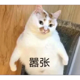 Sticker from 伯乐俱乐部