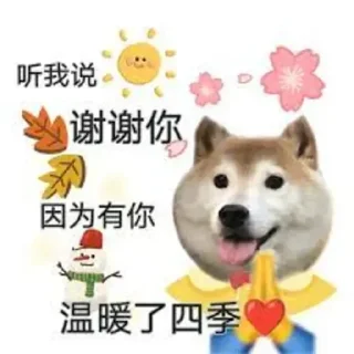 🙄 emoji 😃 Telegram sticker 7 of 8