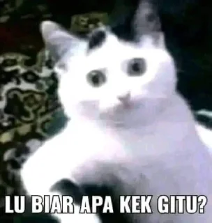 😒 emoji Anak anak di gebuk anjing Telegram sticker 10 of 10