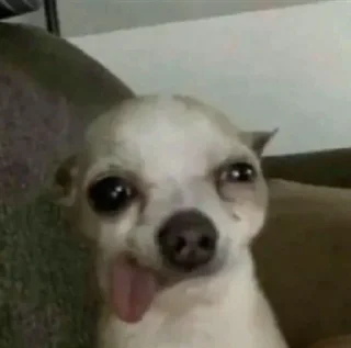 😍 emoji anjing Telegram sticker 18 of 19