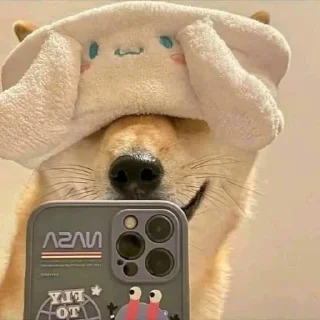 😳 emoji anjing Telegram sticker 13 of 19