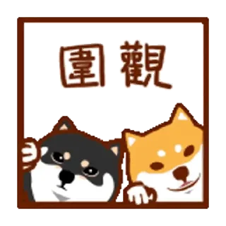 💬 emoji 阿柴們的狗哩狗氣日常第三彈_kal Telegram sticker 24 of 24