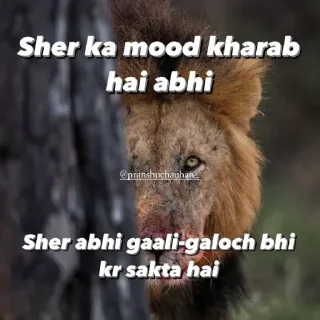 Sticker from Sher